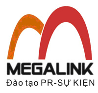 Công ty Cổ Phần Megalink